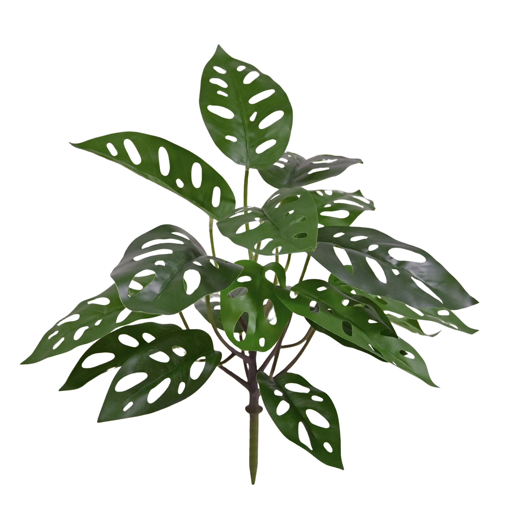 Monstera Adansonii Kunstplant 30cm