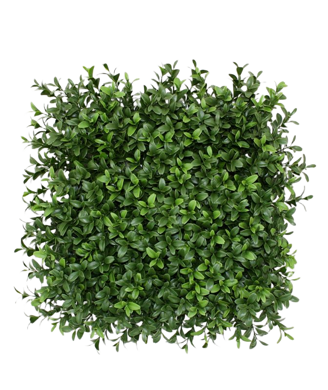 Buxus kunstmatje x300