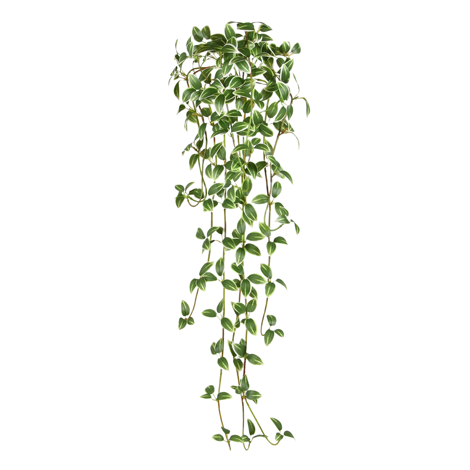 Tradescantia kunst hanger 90cm - bont afbeelding 1