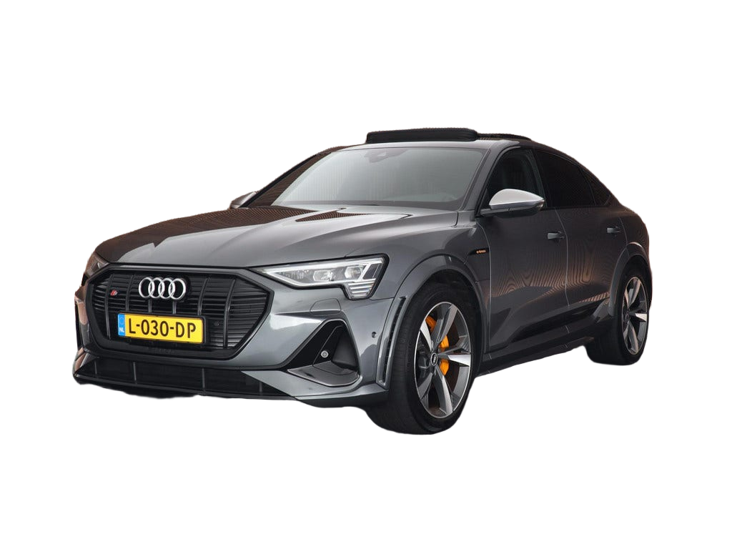 Audi e tron occasion