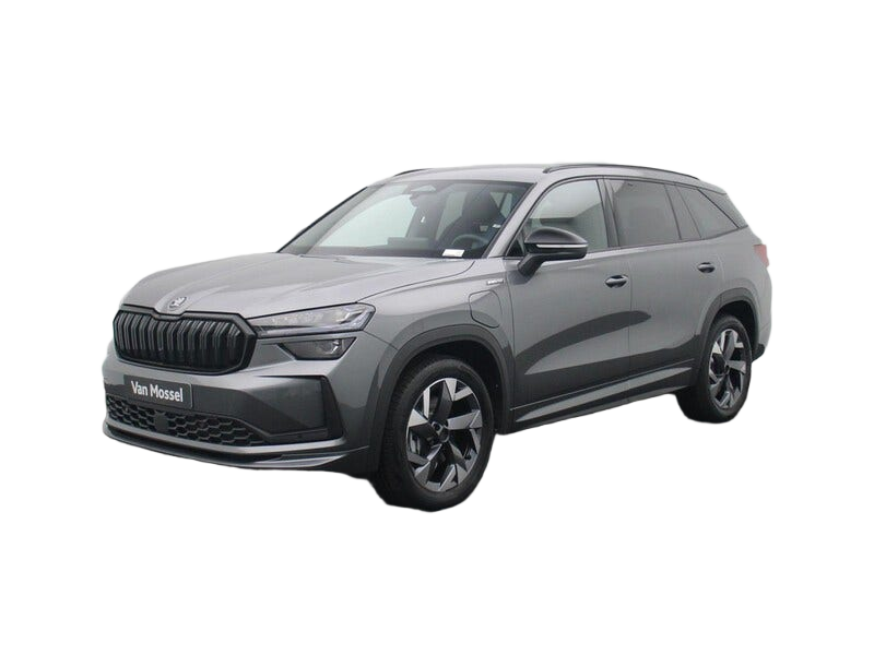 Skoda Kodiaq occasion