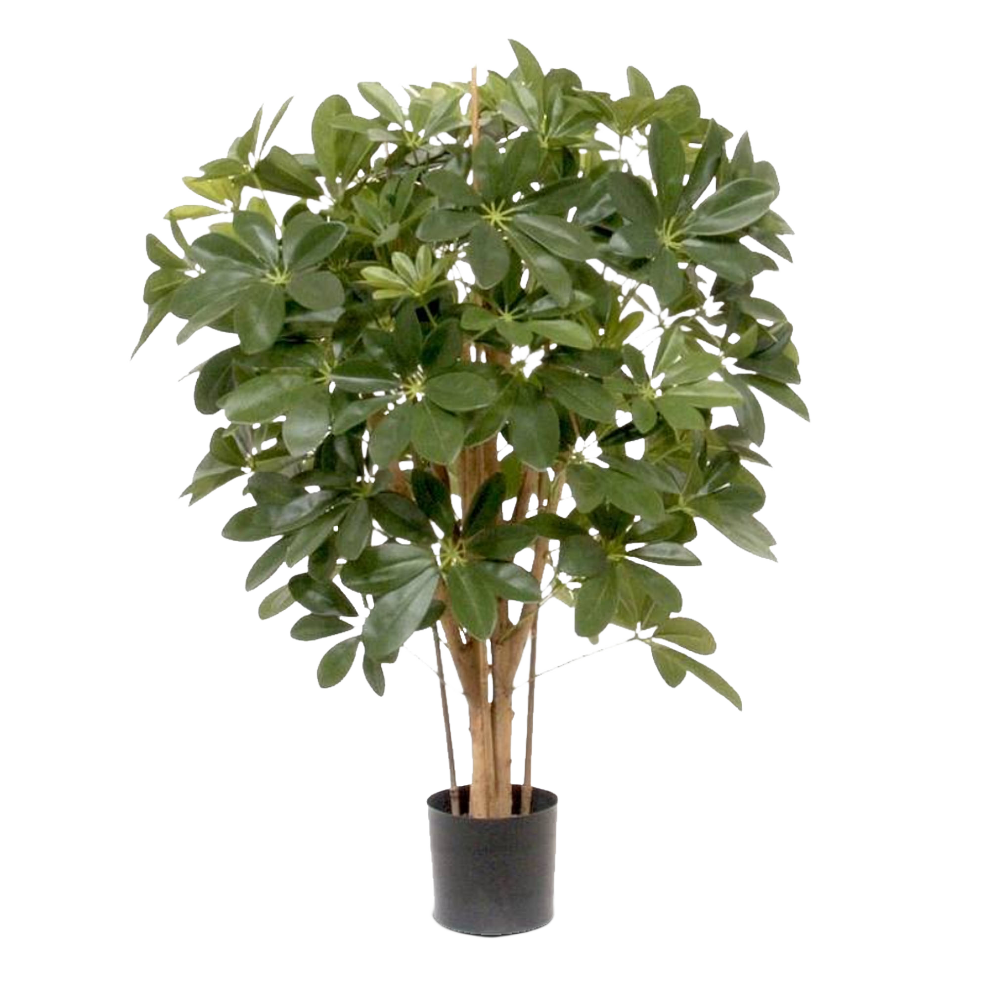 Schefflera kunstplant 80cm