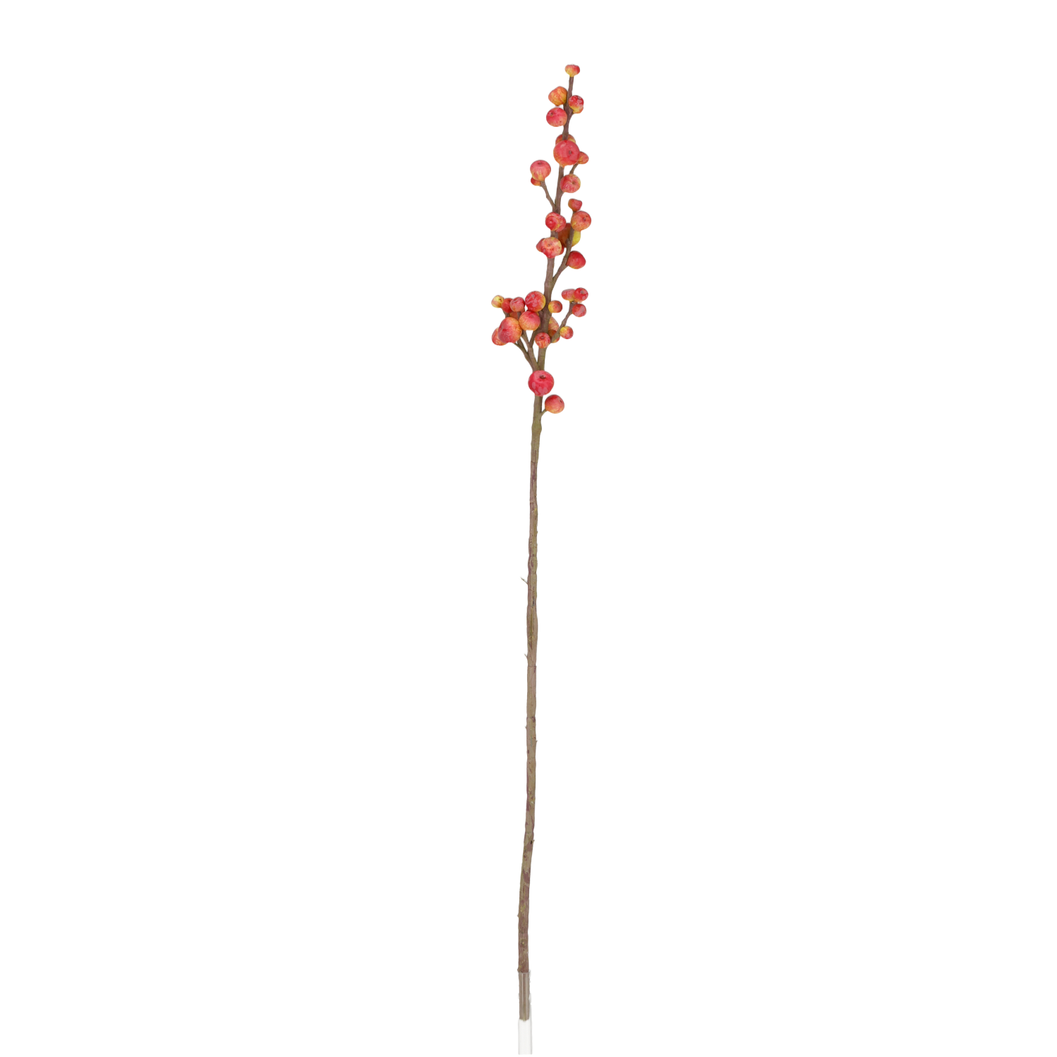 Kunst Bessentak 88cm Rood/groen