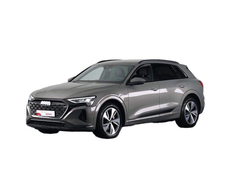 Audi Q8 e tron occasion