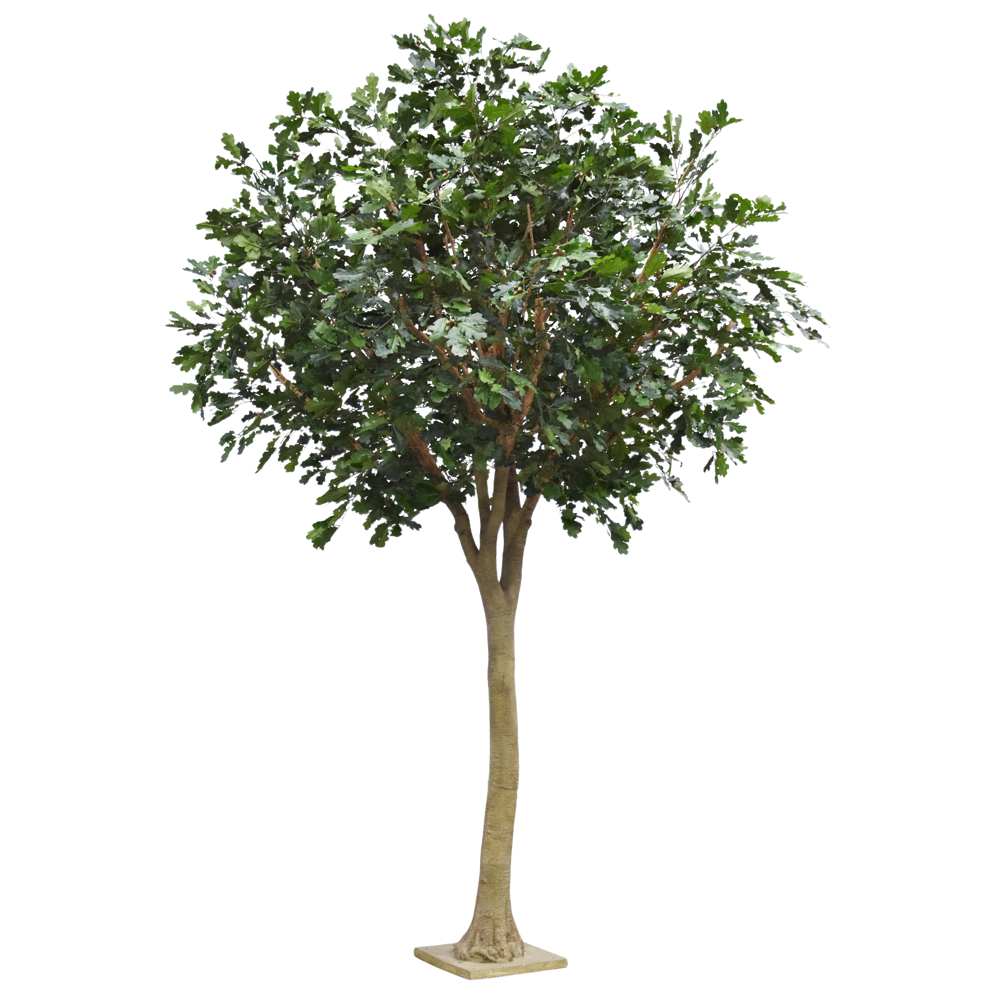 Kunst Eikenboom Deluxe XXl 375cm op stam