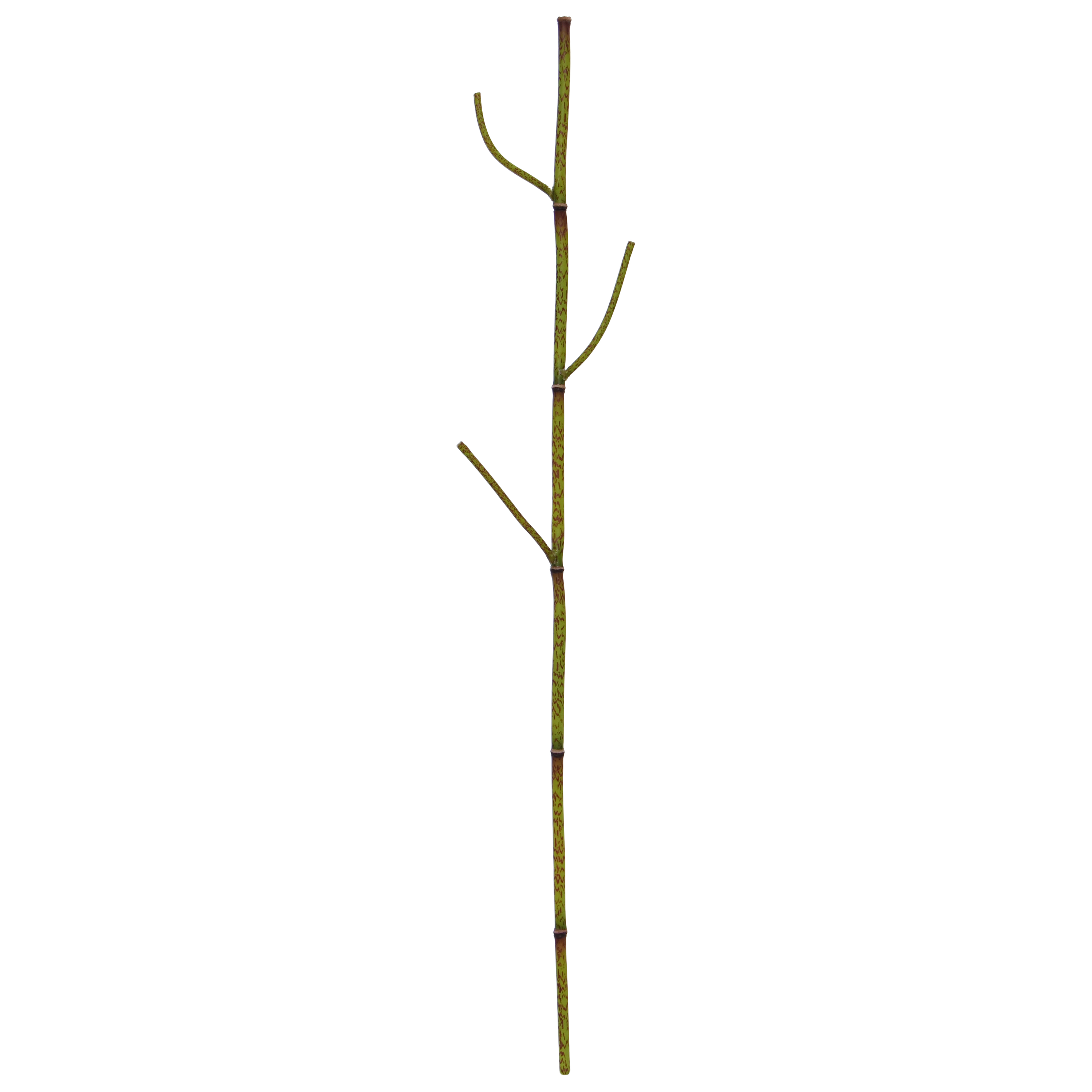 Polygonum kunsttak 86cm groen