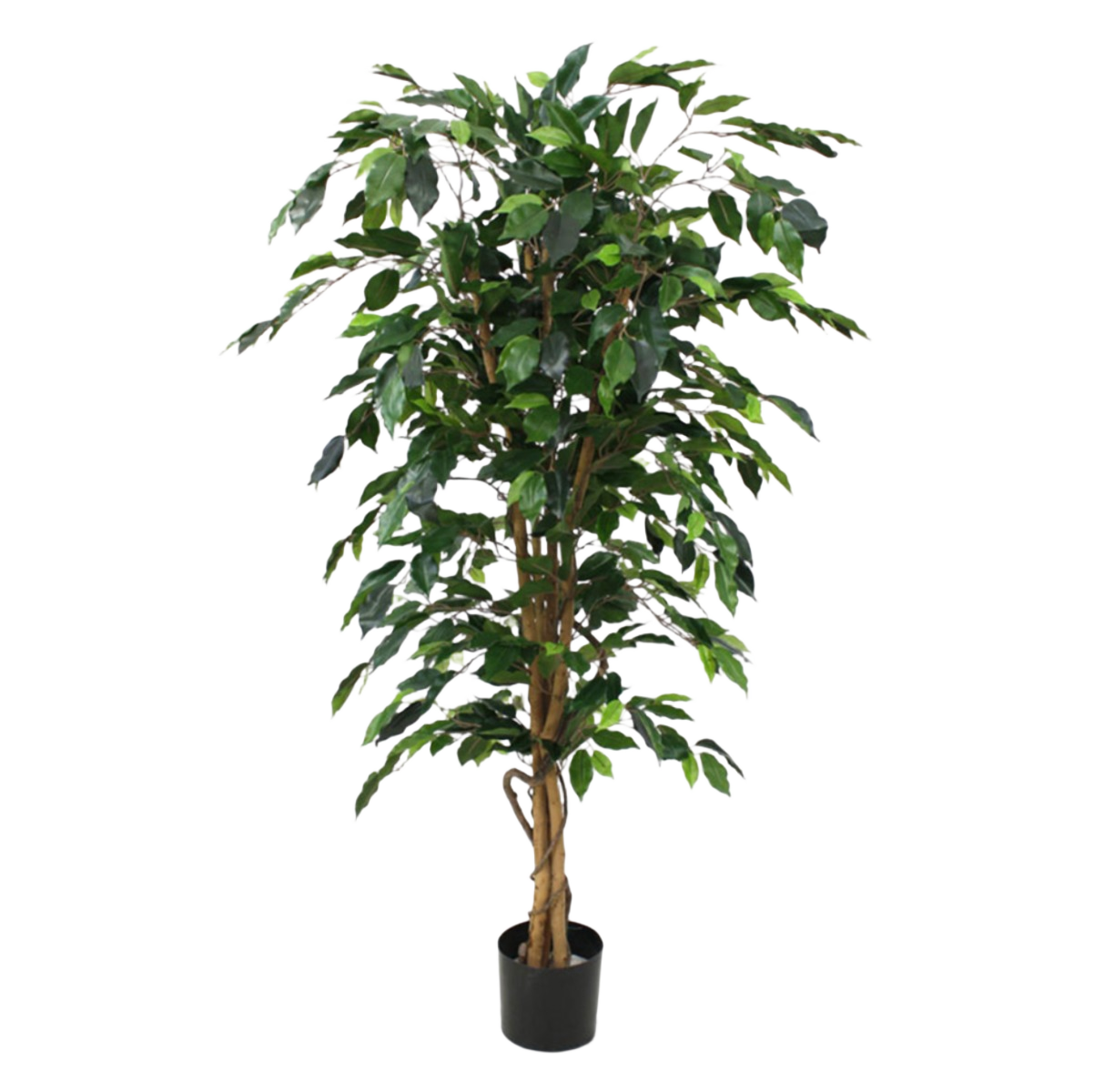 Ficus Benjamini kunstboom 150cm