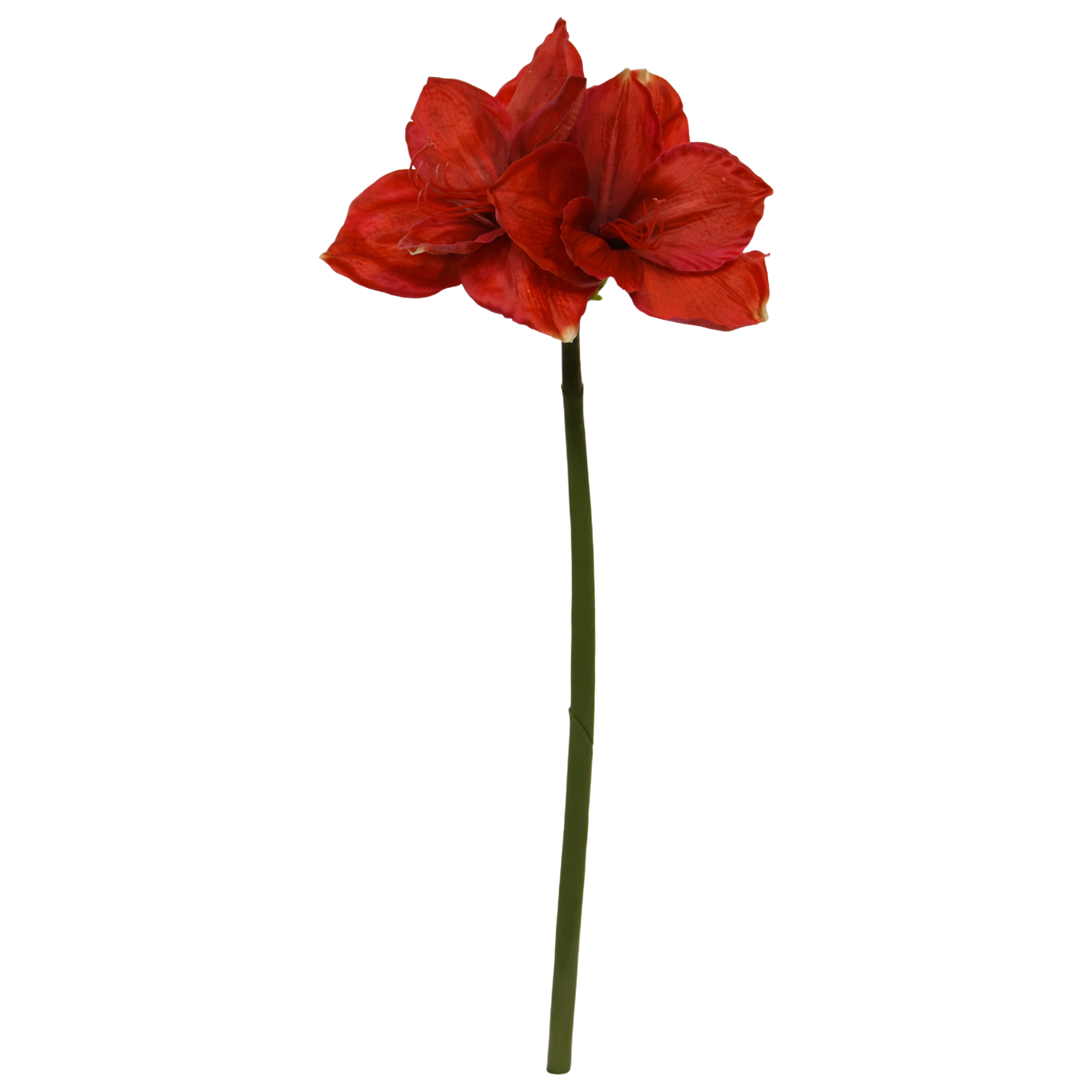 Amaryllis Kunstbloem 67cm Rood afbeelding 1