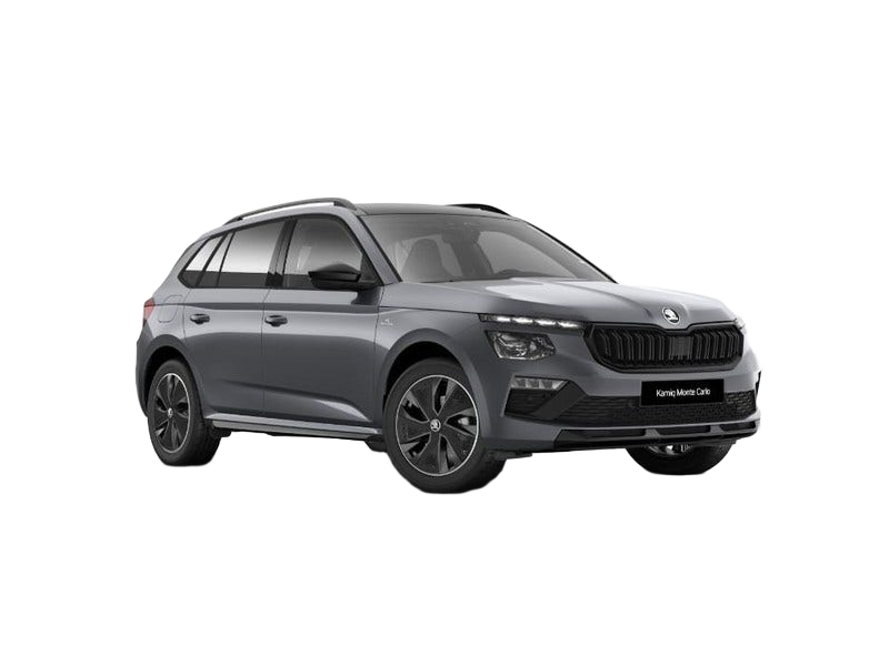 Skoda Kamiq occasion