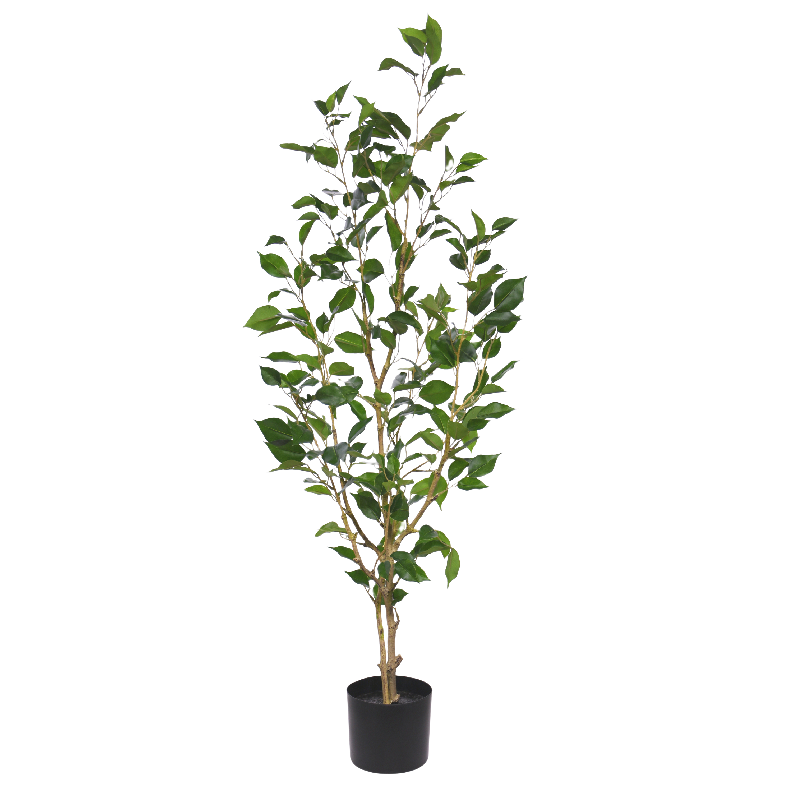 Ficus Exotica Kunstplant NT 120cm