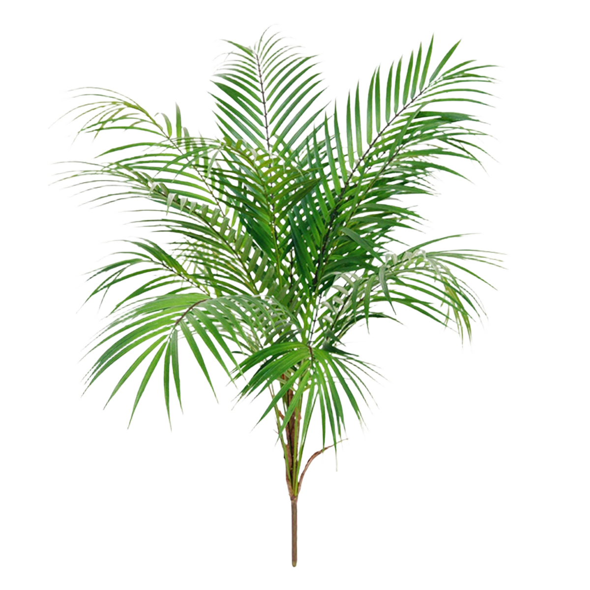 Areca kunstpalm 80cm