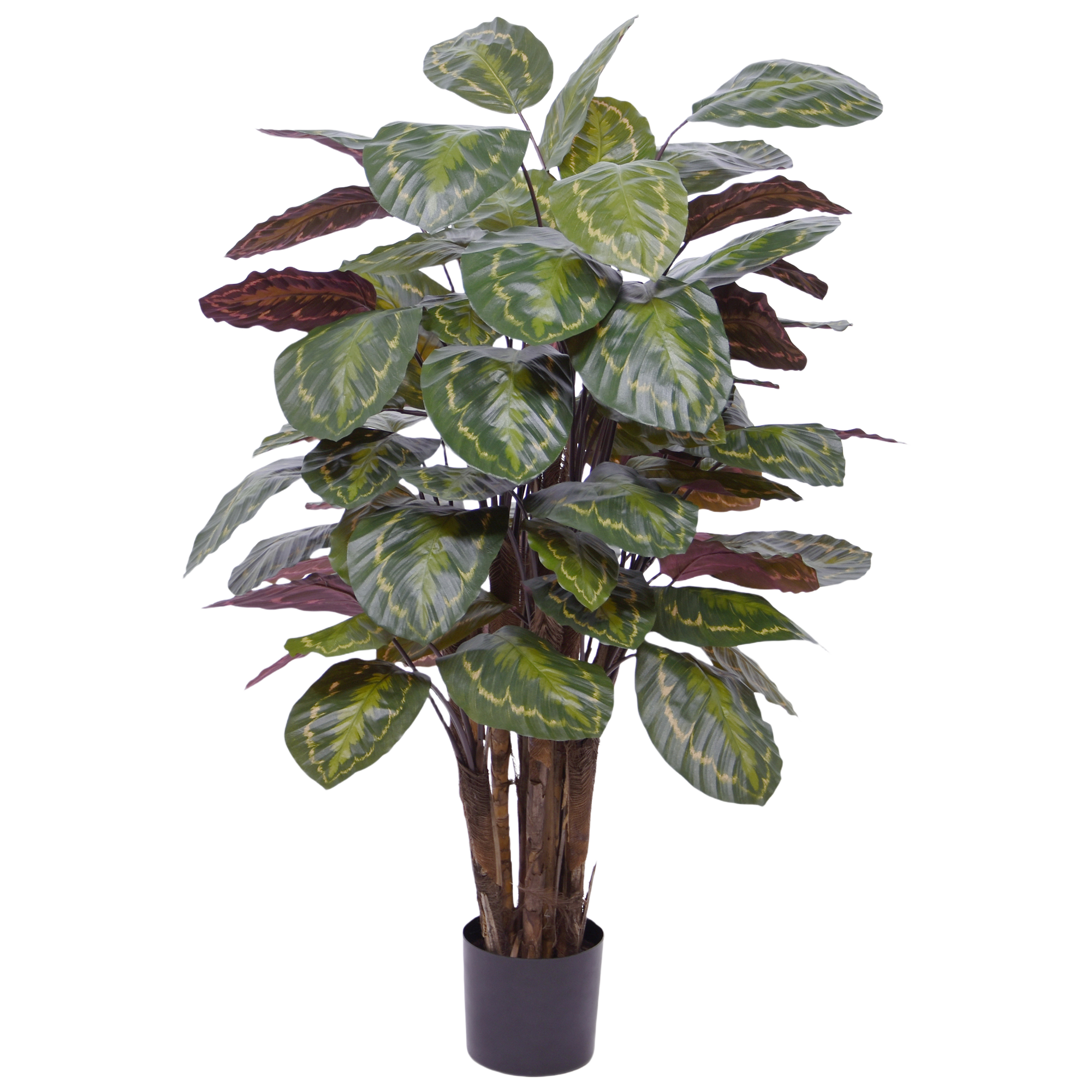 Calathea Roseopicta kunstplant Deluxe 125cm rood