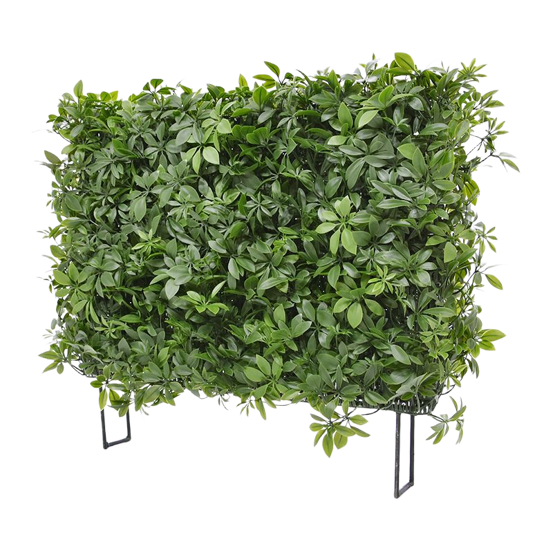 Schefflera kunstheg 80x25x56cm - UV bestendig