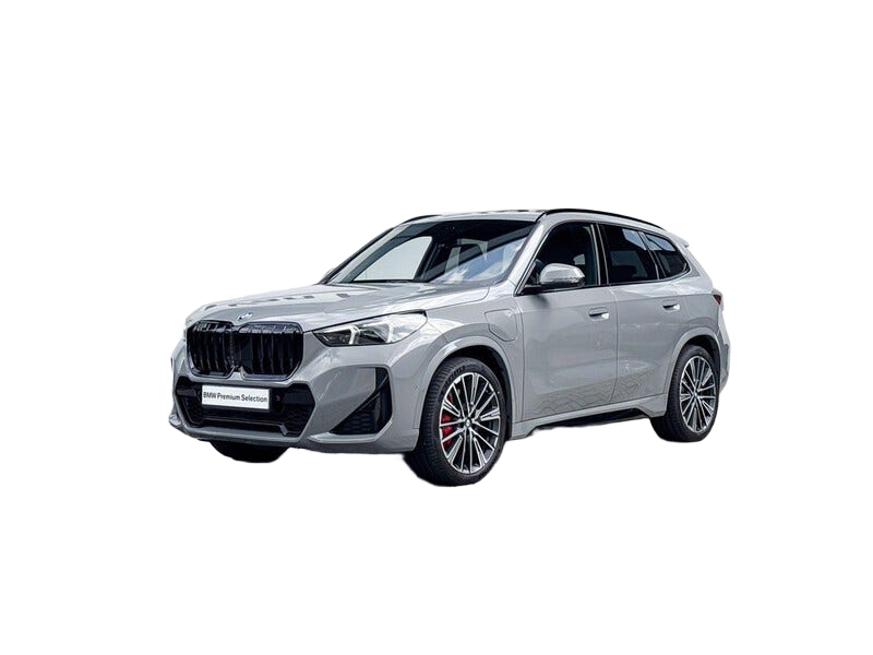 BMW X1 occasion