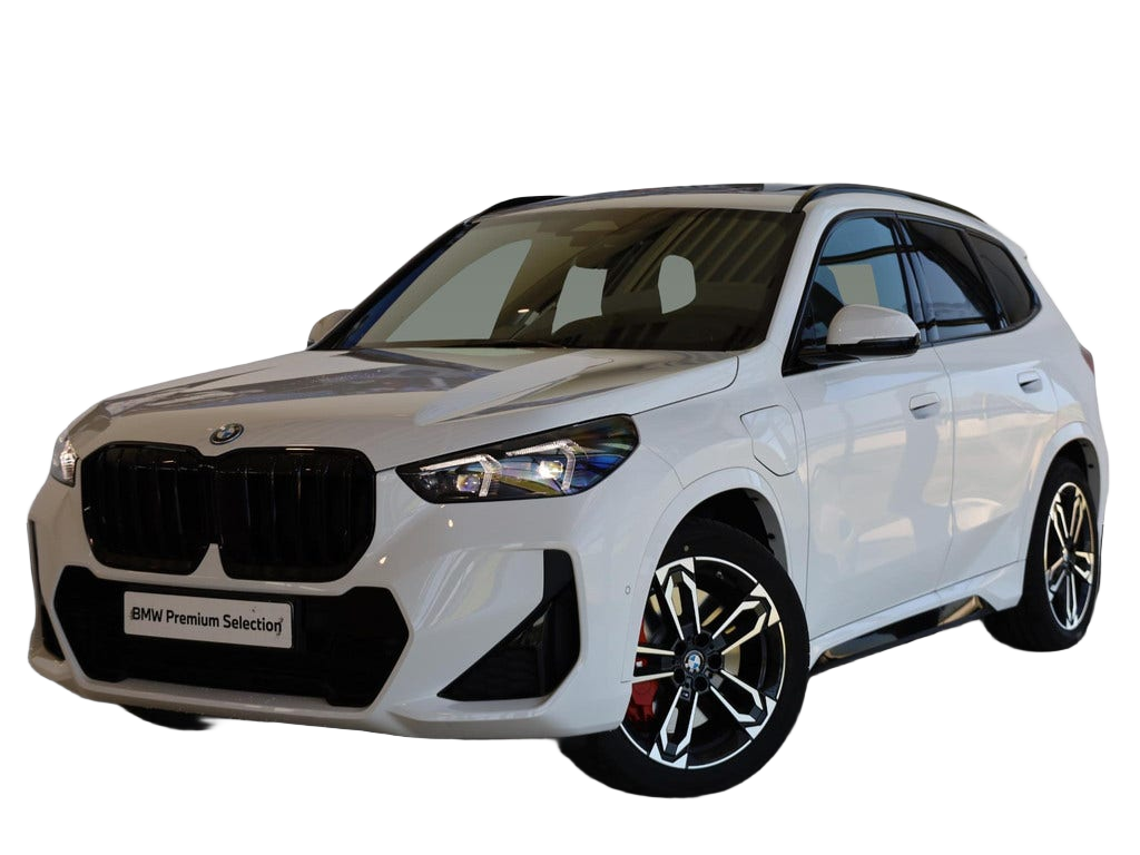 BMW X1 occasion