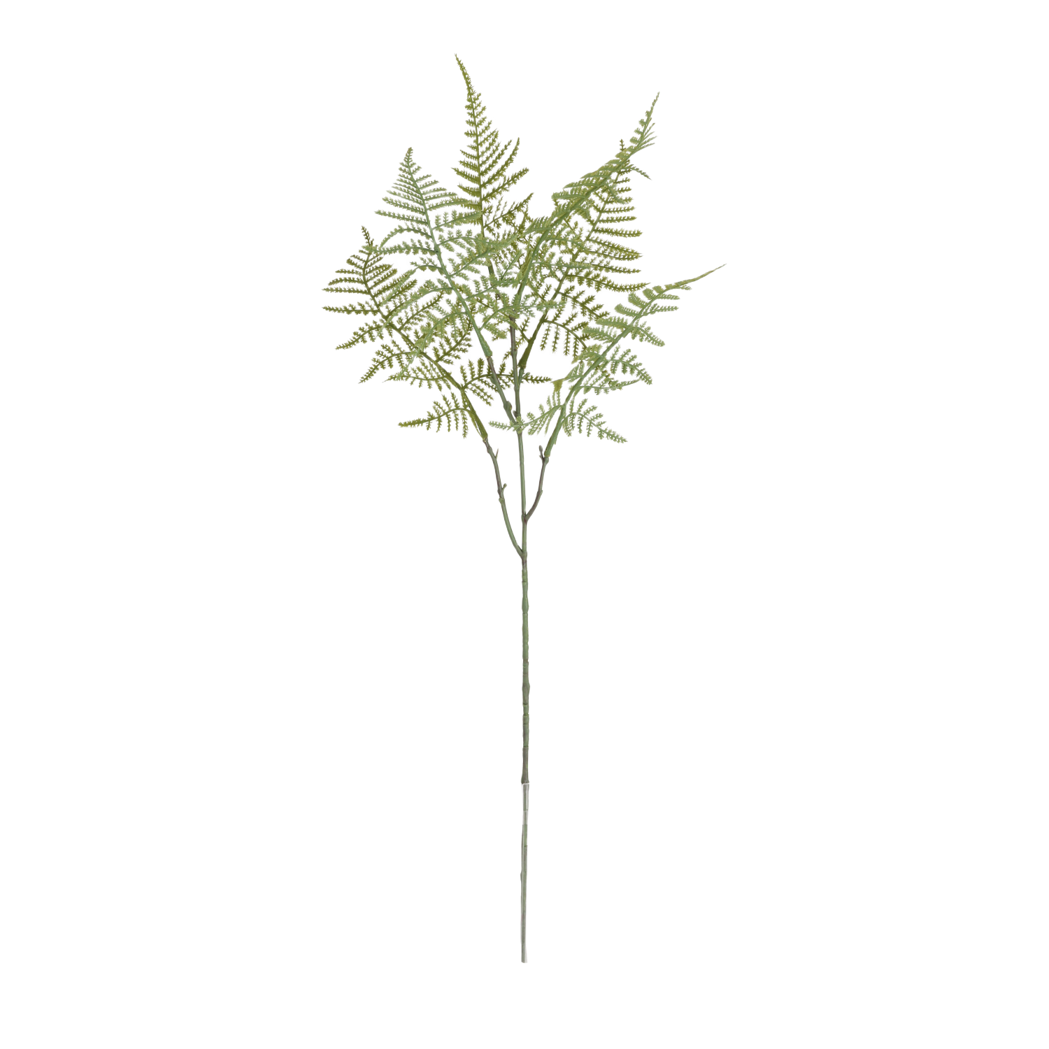 Asparagus Kunsttak 66cm