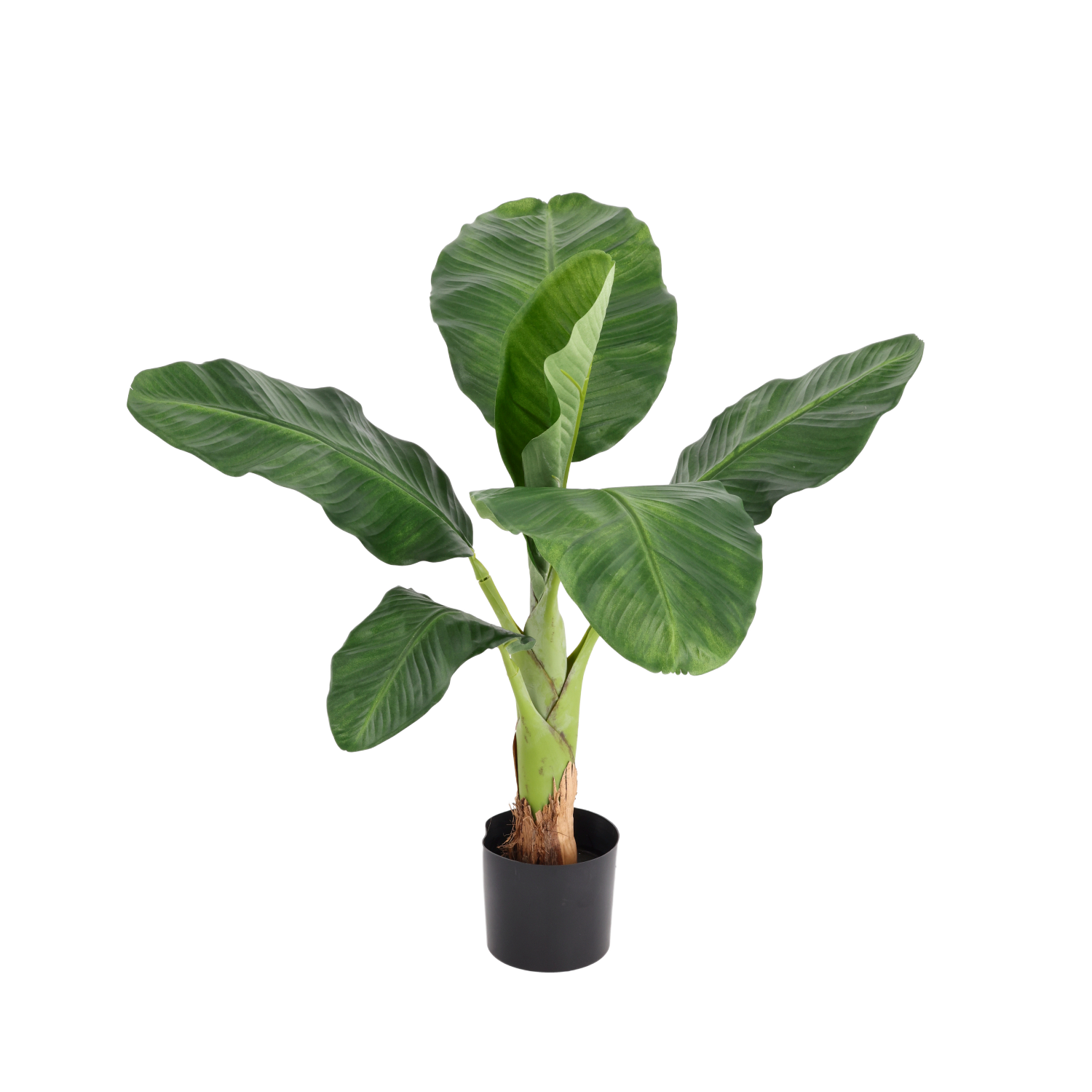 Banaan Royal Kunstplant 70cm afbeelding 1