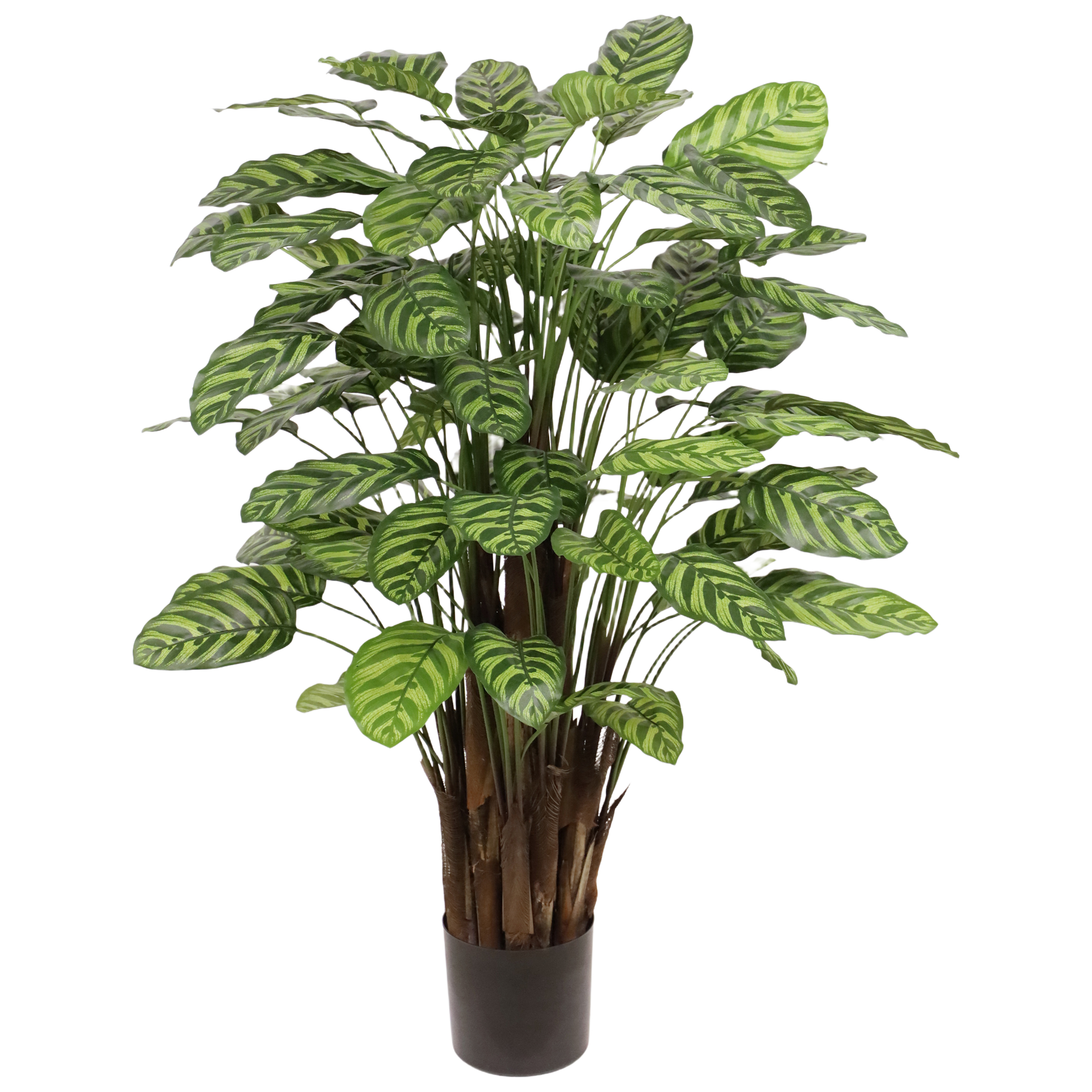 Calathea Makoyana kunstplant Deluxe 115cm