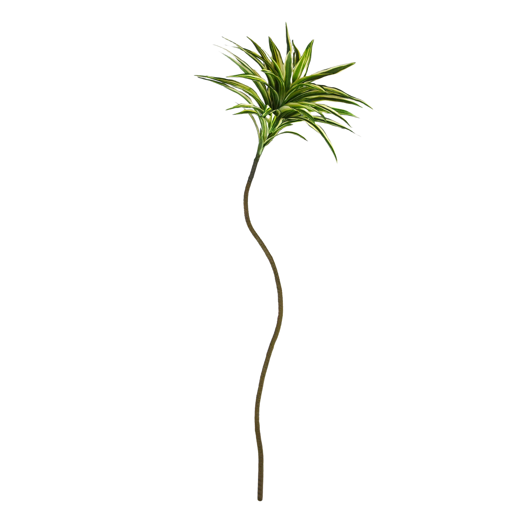 Draceana reflexa Kunsttak 105cm bont