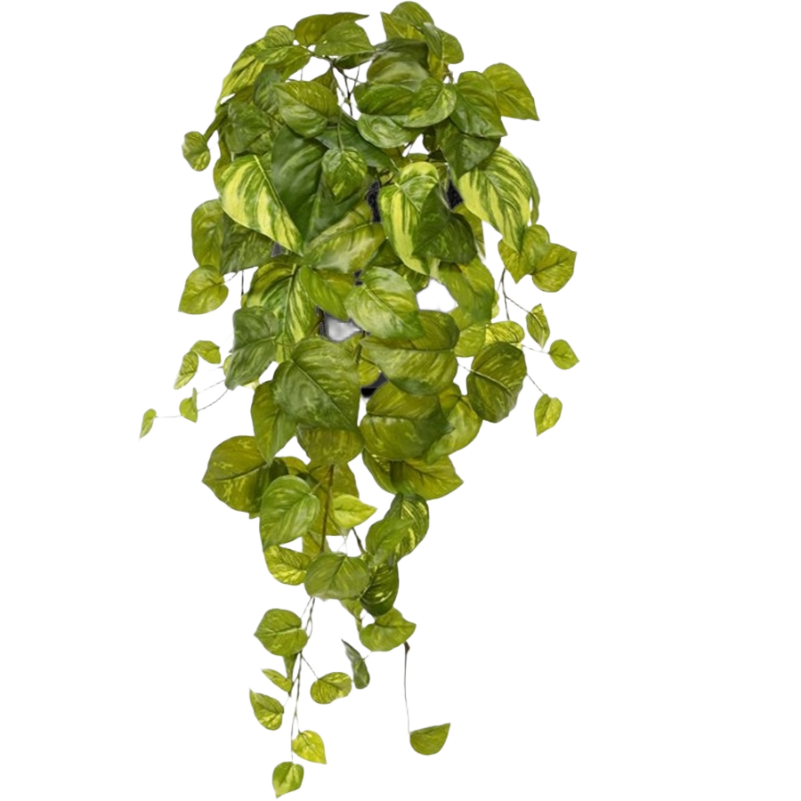 Pothos kunst hangplant 55cm - bont in pot