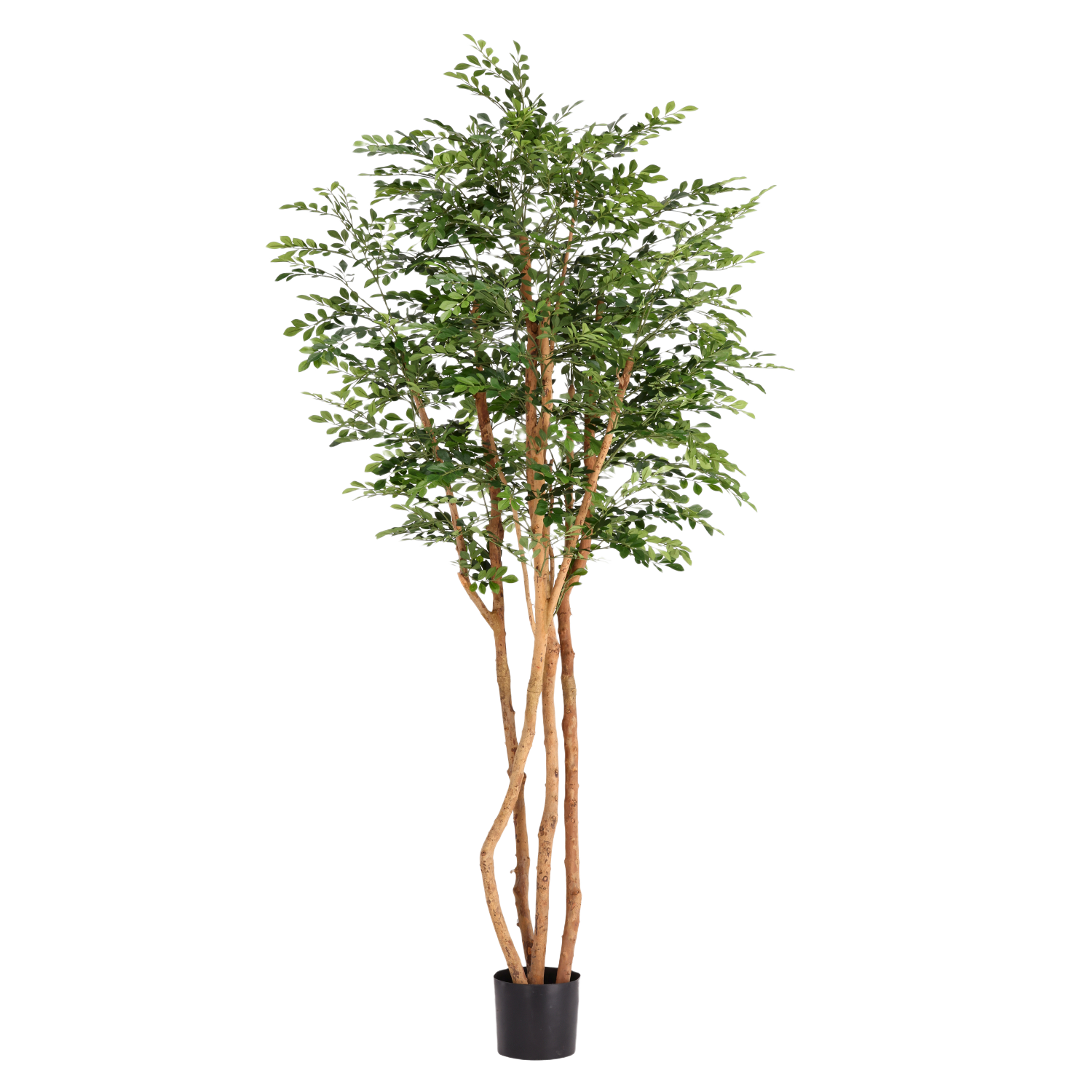 Murraya Kunstboom Deluxe 210cm in pot