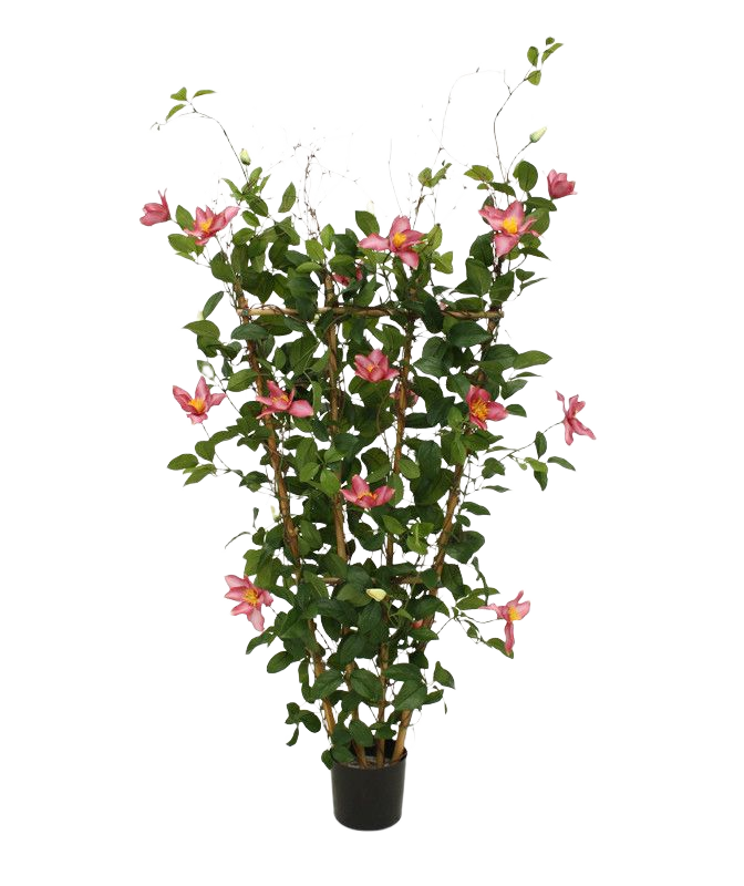Clematis kunstheg 125cm - rose