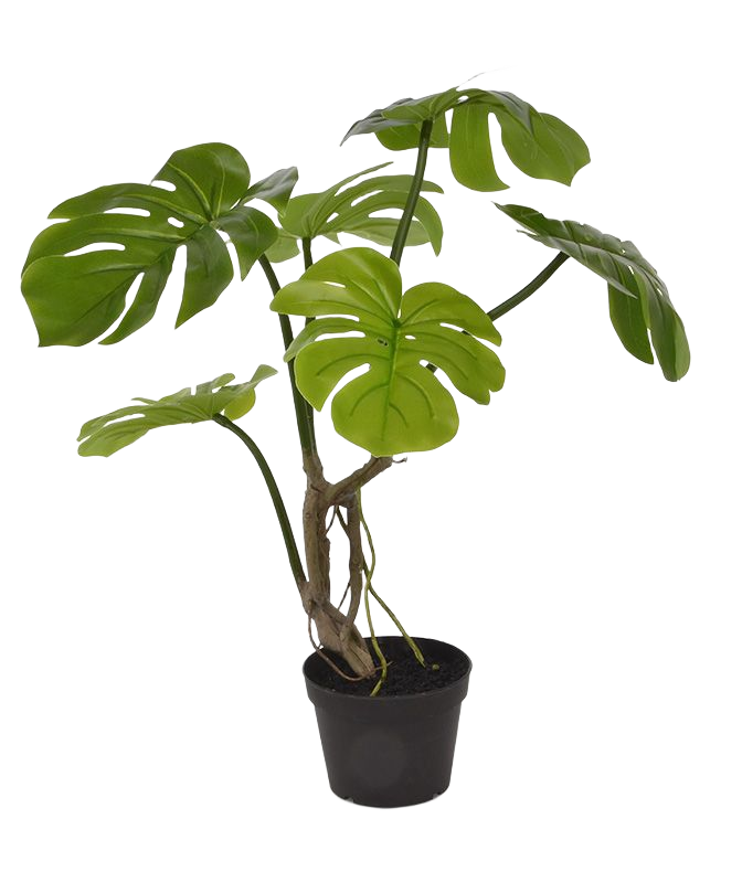 Monstera kunstplant 50cm