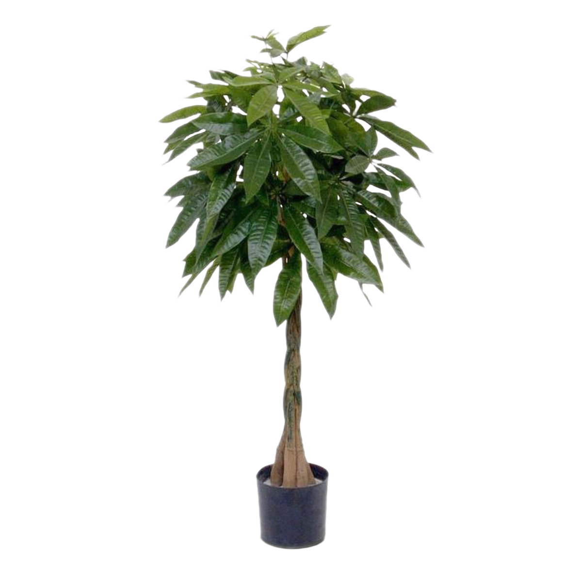 Pachira deluxe kunstplant 120cm
