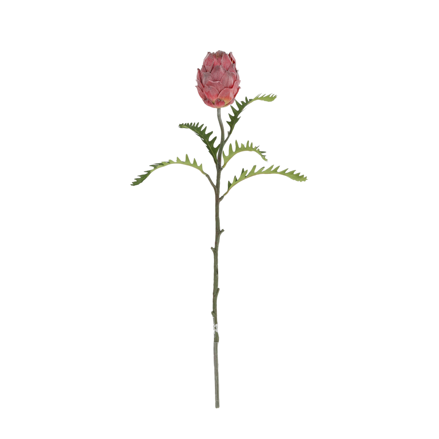 Protea Deluxe Kunsttak 63cm