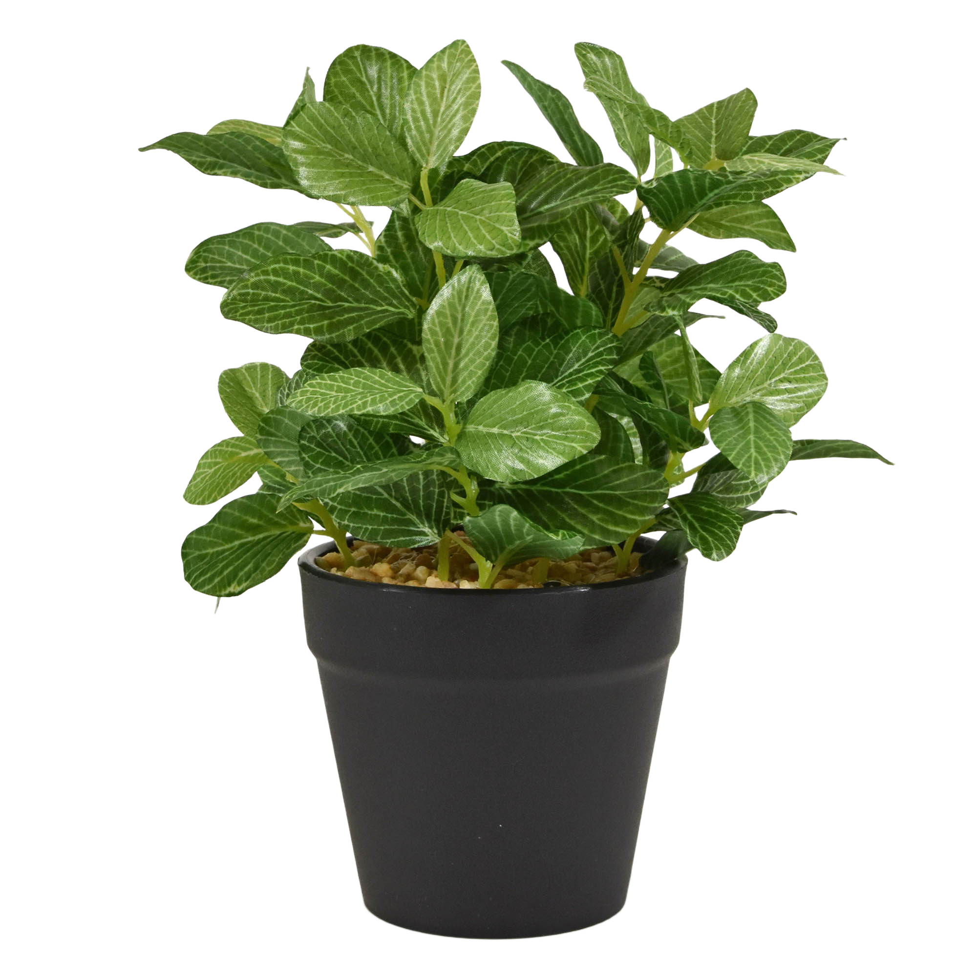 Fittonia bont kunstplant 18cm