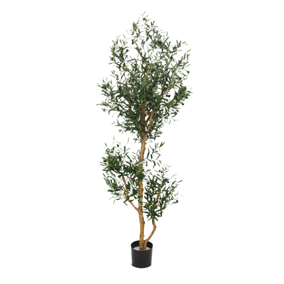 Kunst Olijfboom promo 180cm