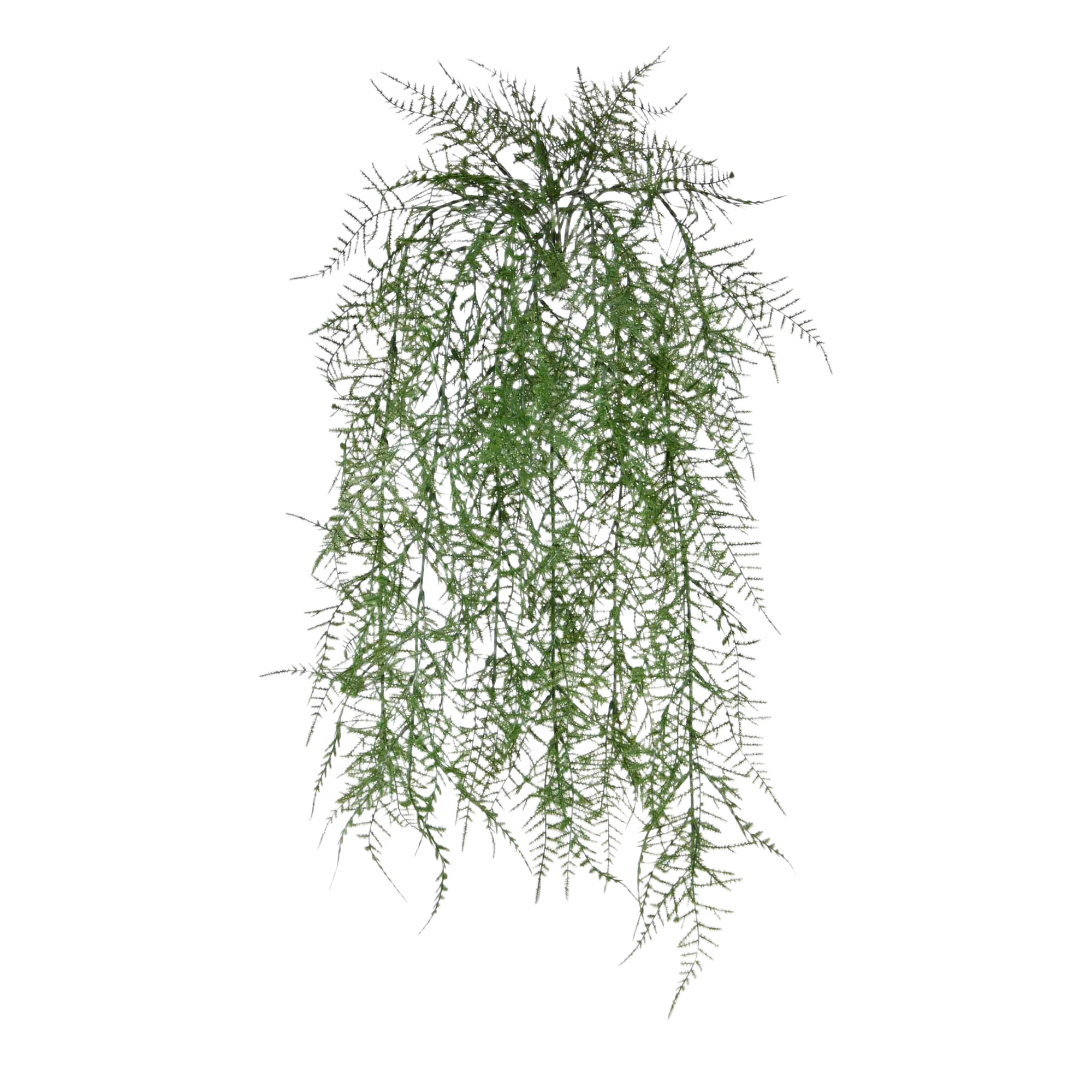 Asparagus Kunsthangplant 60cm afbeelding