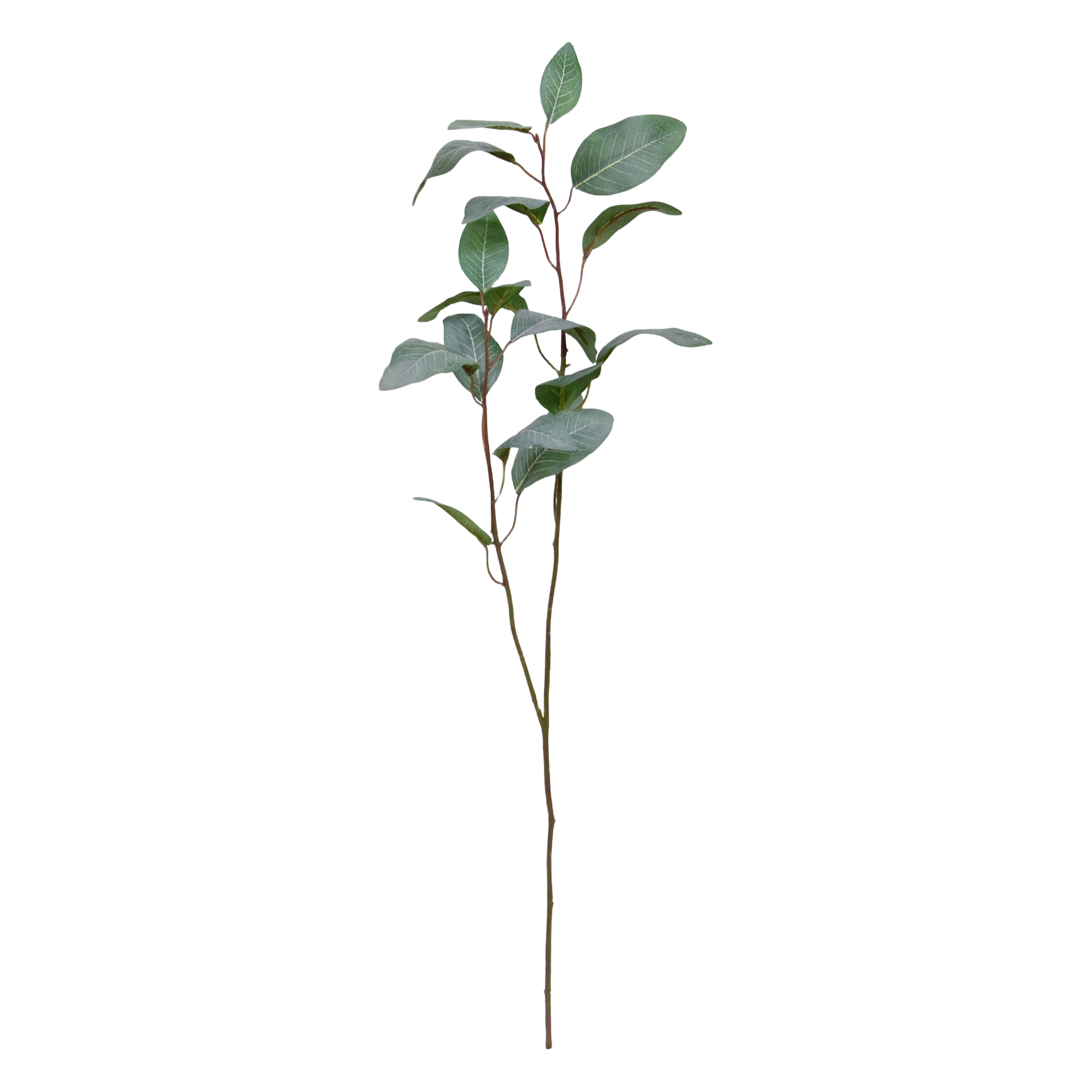 Eucalyptus kunsttak 80cm