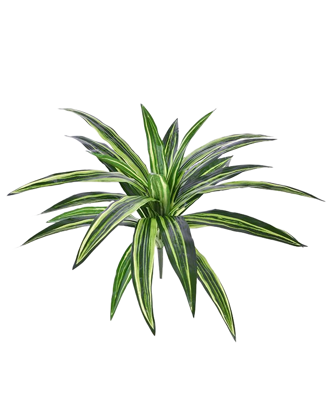 Draceana Massangeana kunstplant 40cm - groen
