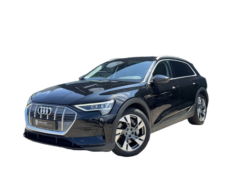 Audi e tron occasion