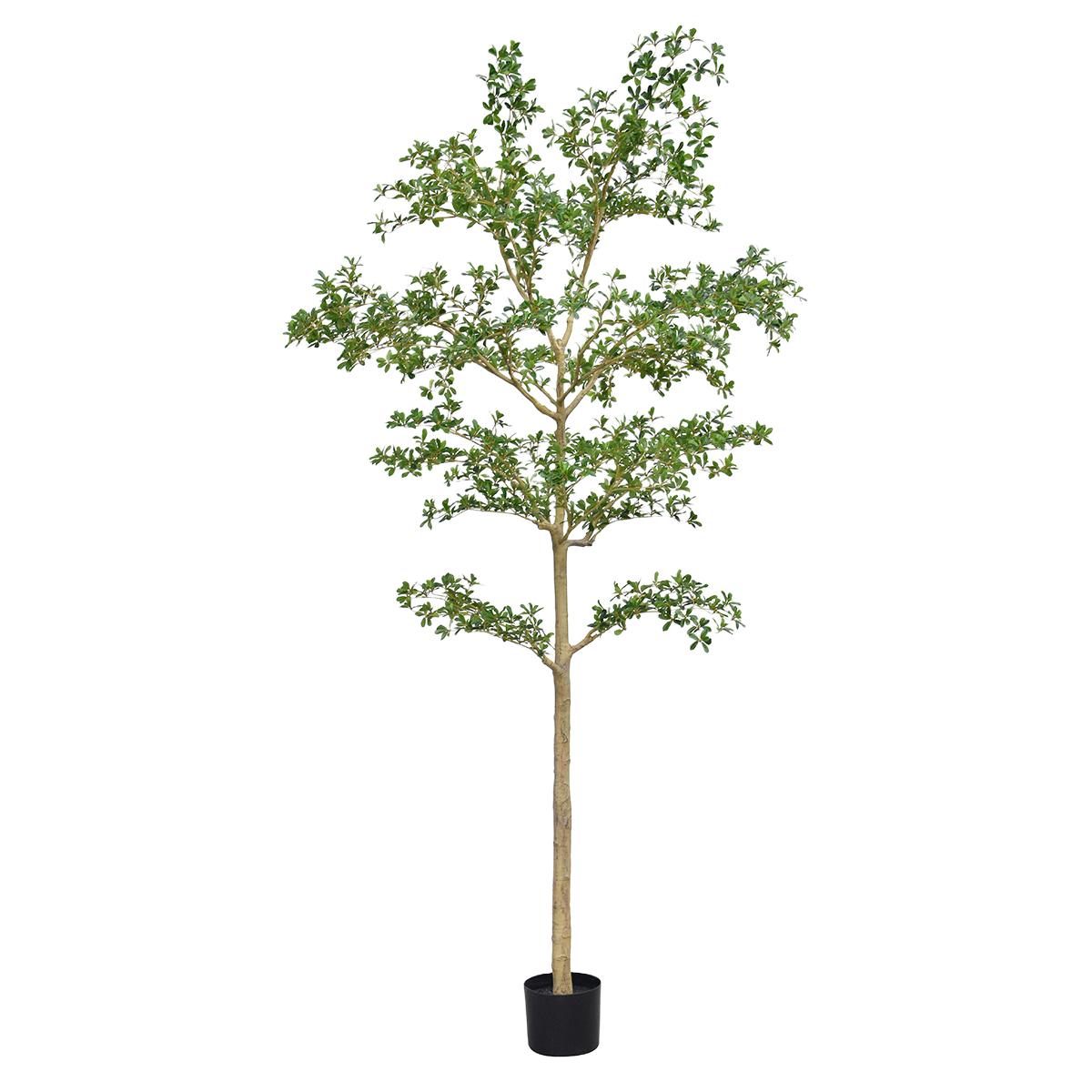 Bucida shady Lady Kunstboom 270cm groen