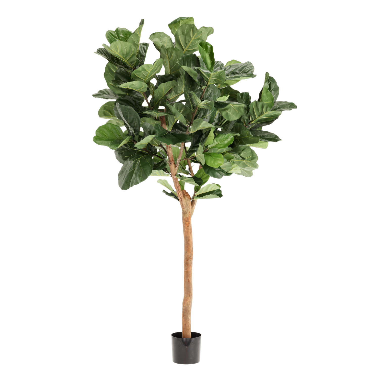 Lyrata Deluxe Y Kunstboom 220cm in pot