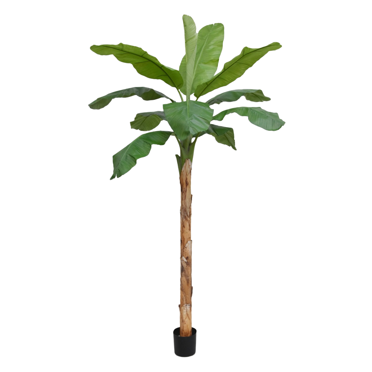Banaan Royal XL kunstboom 300cm