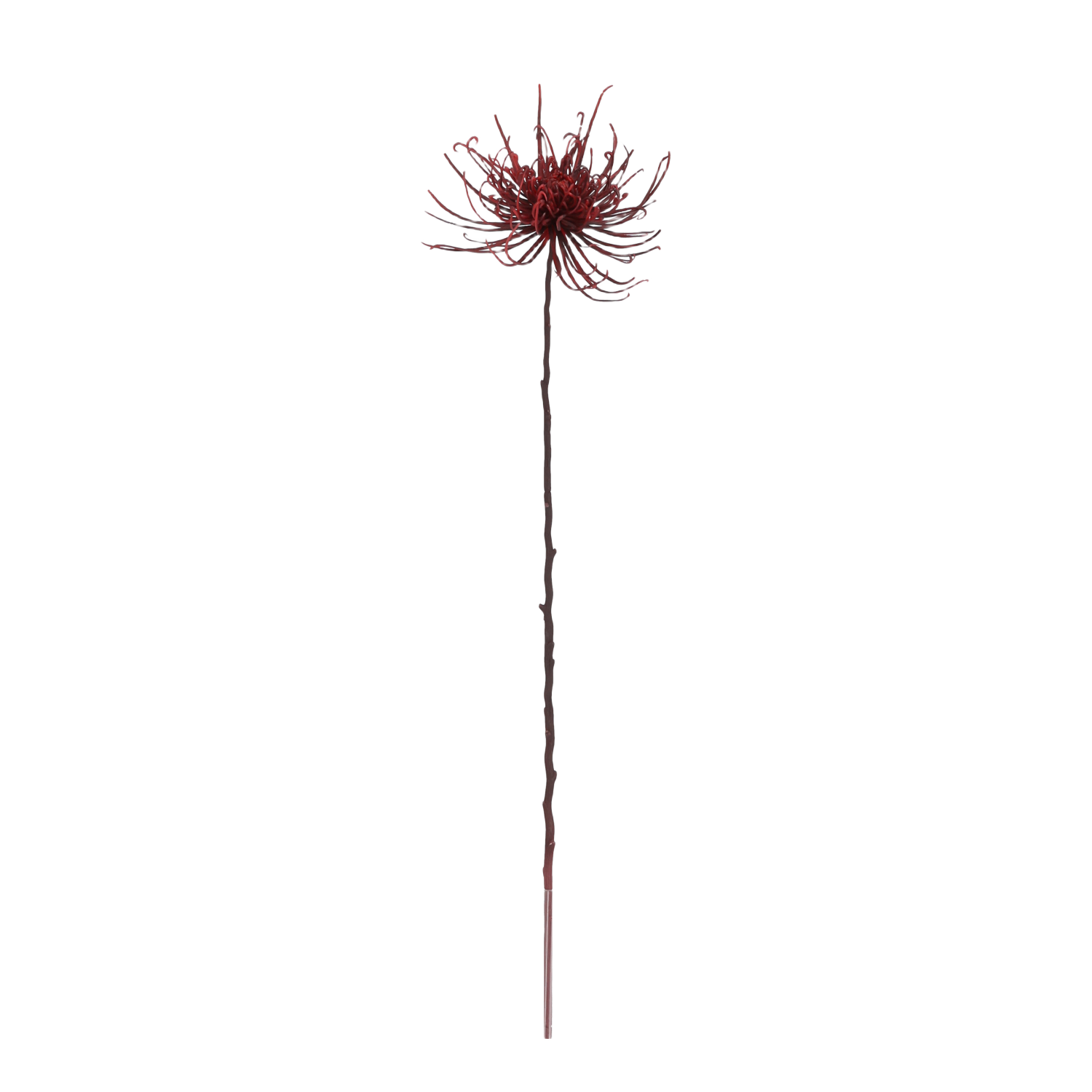 Spider Chrysant kunstbloem 70cm Burgundy afbeelding 1