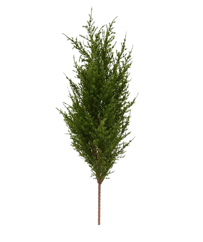 Conifeer boeket 56 cm