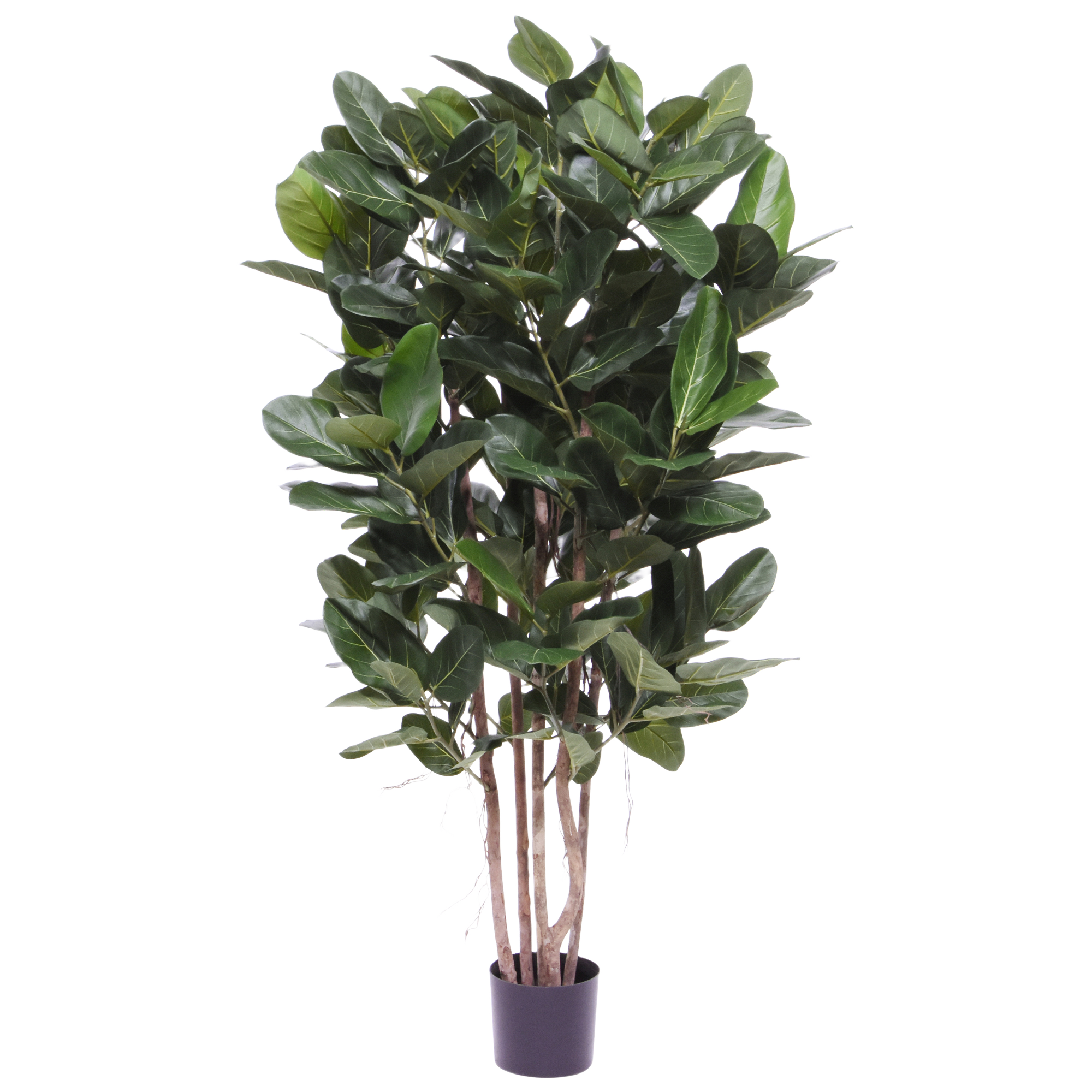 Ficus Audrey kolom Kunstplant Deluxe 155cm