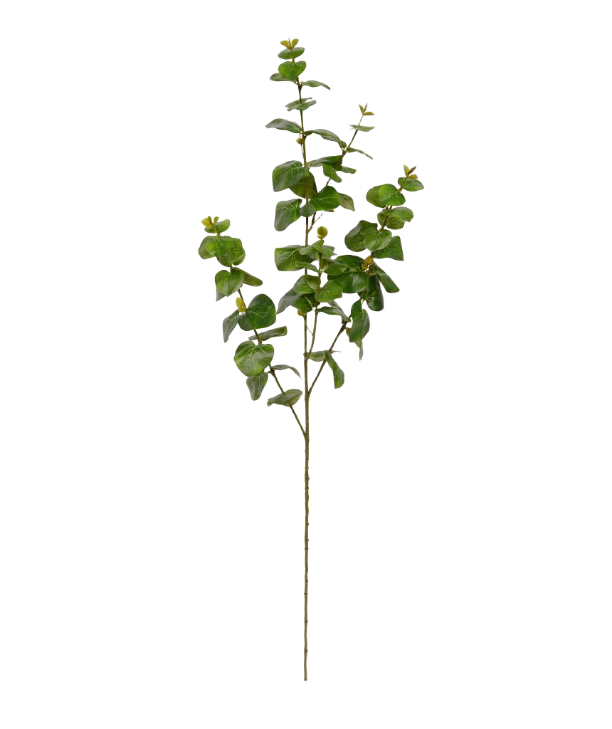 Eucalyptus kunsttak 100 cm