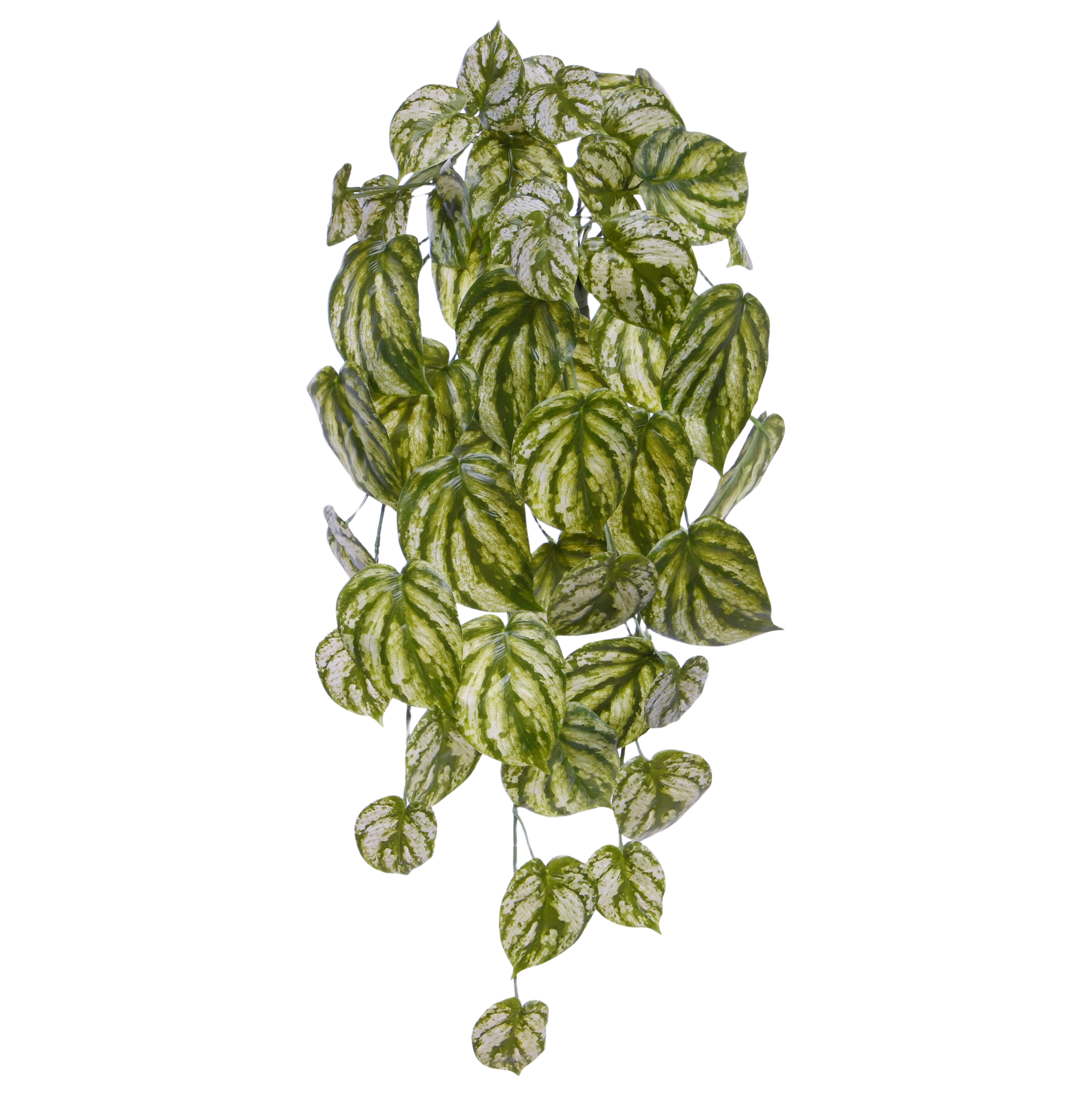 Peperomia Gold Dust kunst hanger 65cm bont afbeelding 1