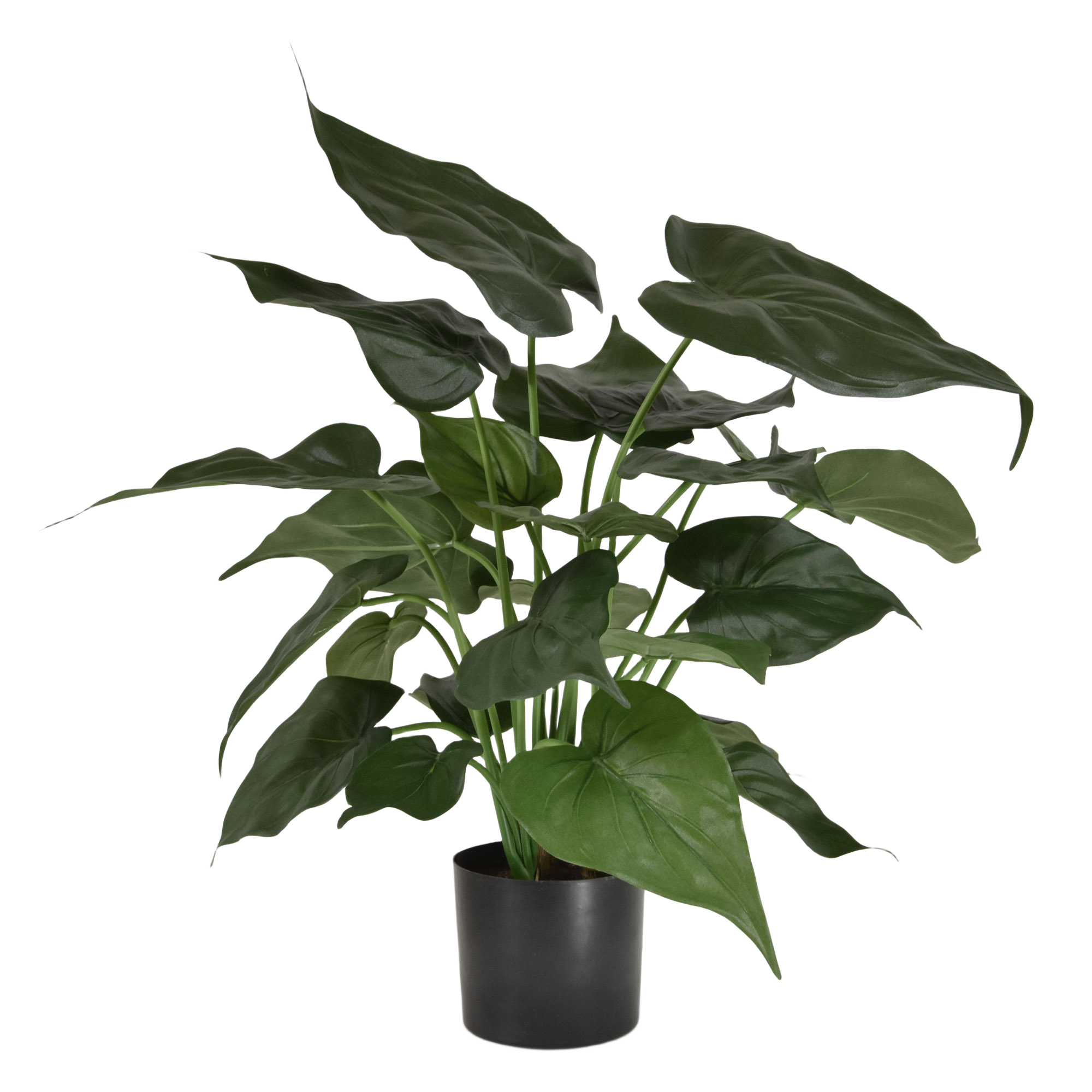 Alocasia Cucullata kunstplant 50cm