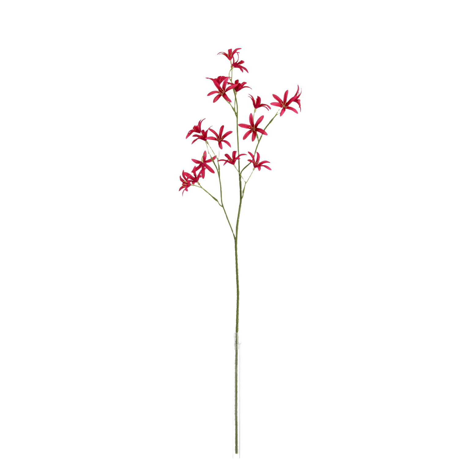 Tweedia Oxypetalum Kunsttak 68cm Paars