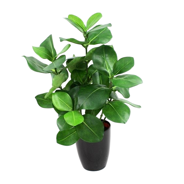 Clusia kunstplant 40cm in pot 10cm