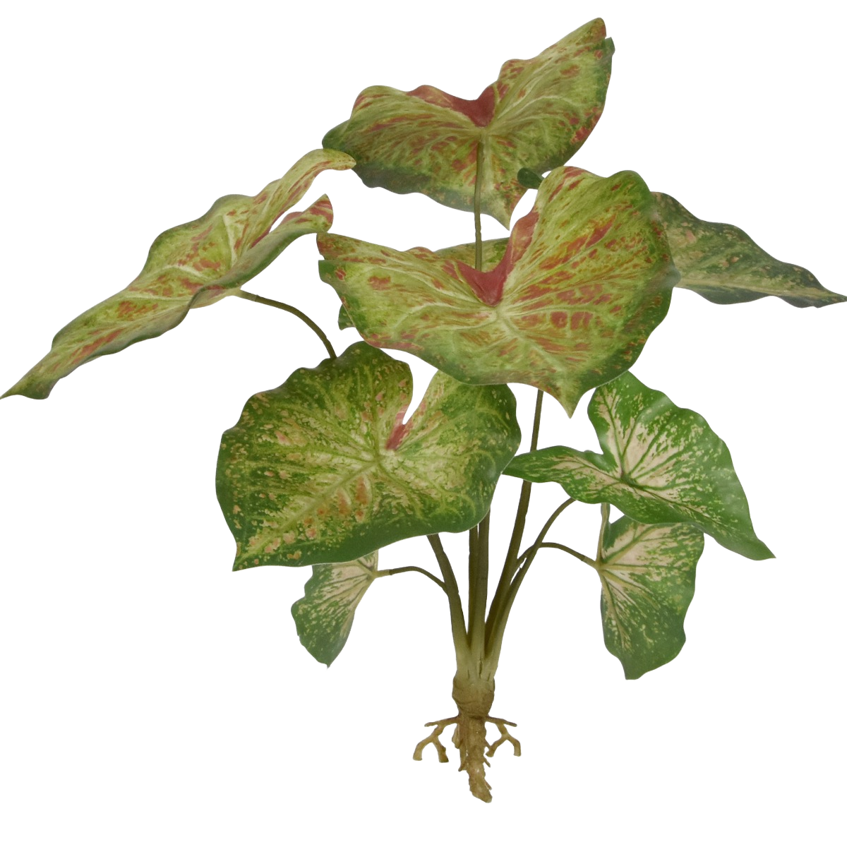 Caladium raspberry kunstplant 40cm
