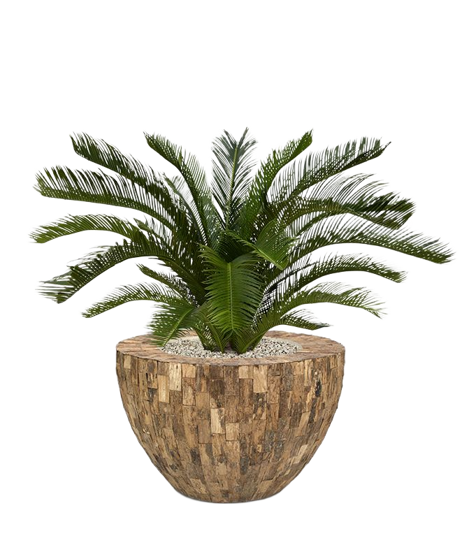 Cycas deluxe kunstpalm M 80cm