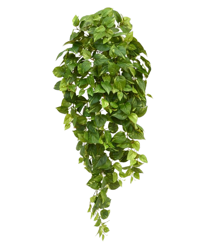 Scindapsus kunst hangplant 100cm - bont