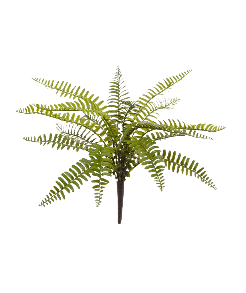 Asplenium Varen kunstplant 35cm